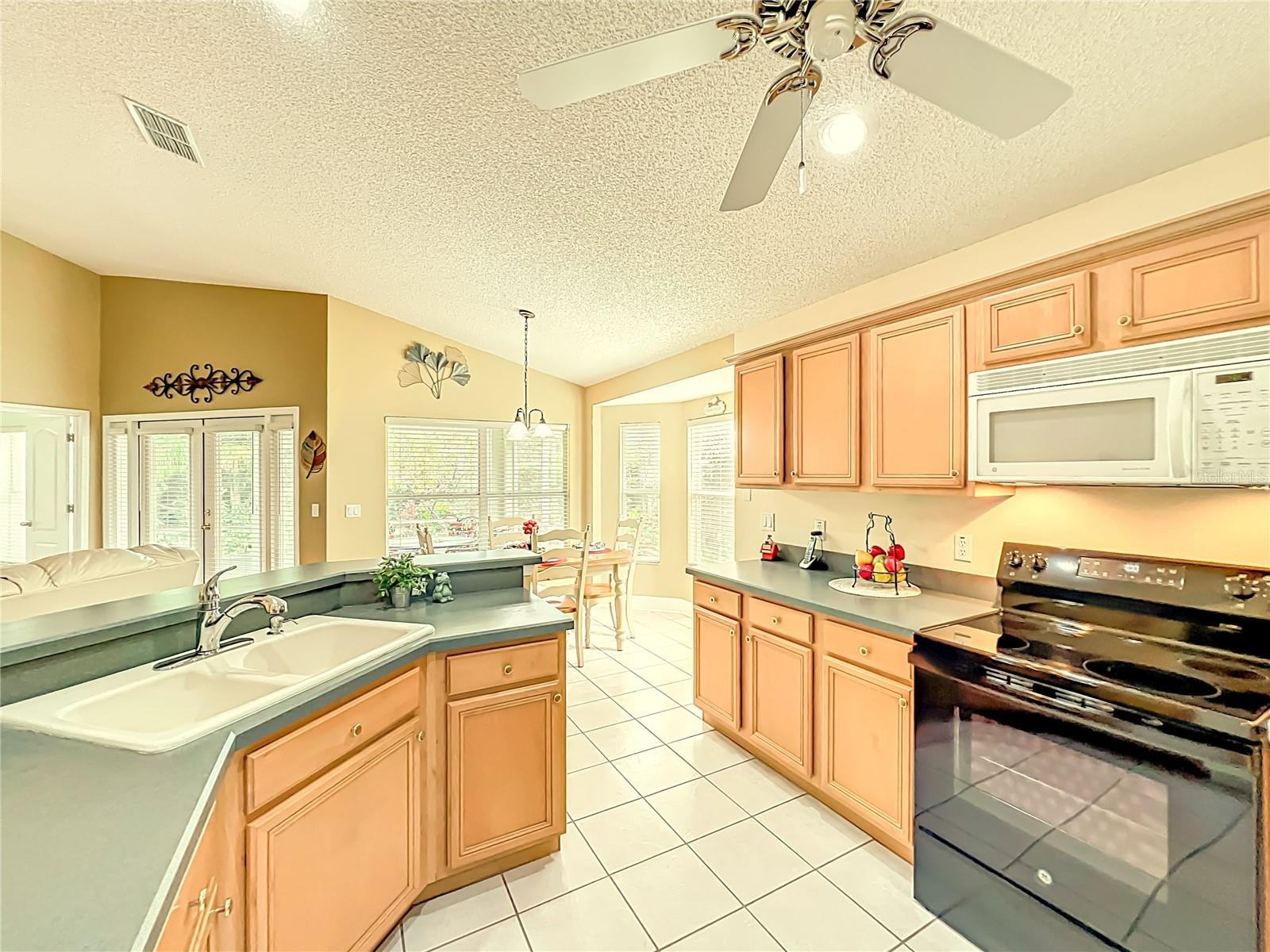 14223 PORTRUSH DR, ORLANDO, FL, 32828