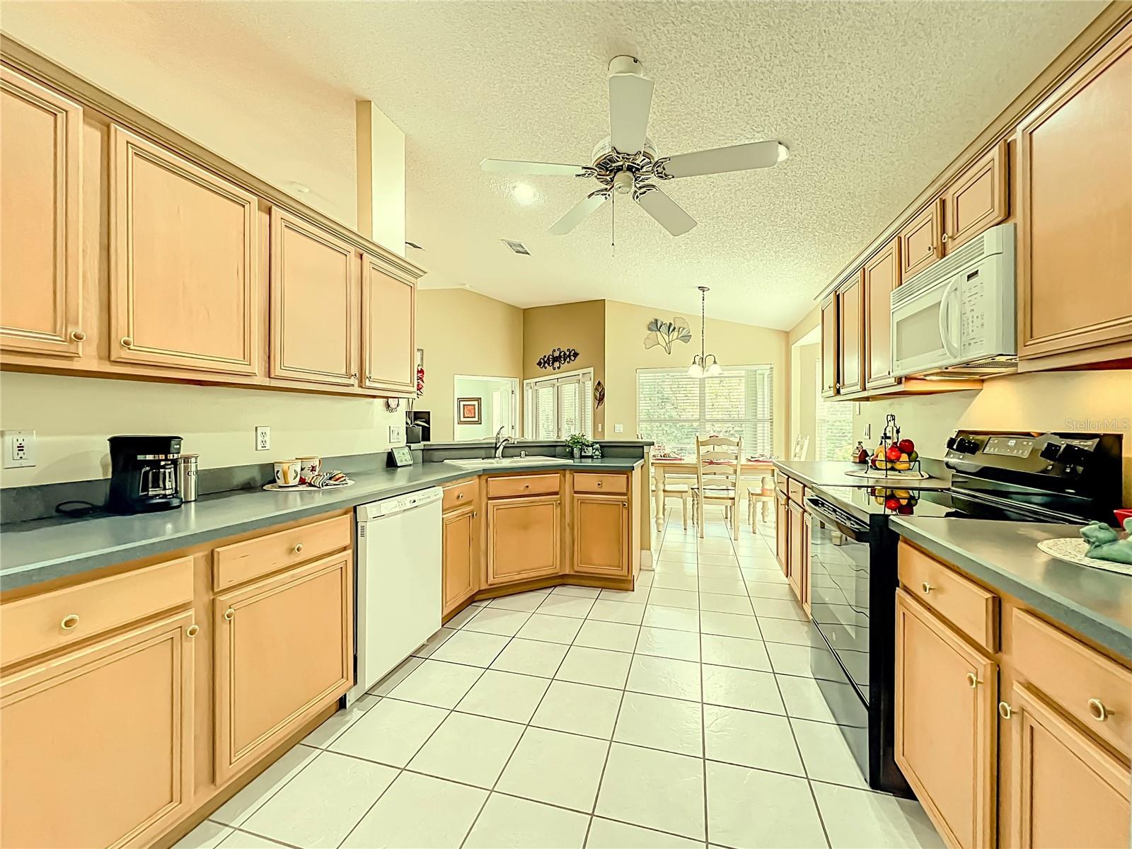 14223 PORTRUSH DR, ORLANDO, FL, 32828