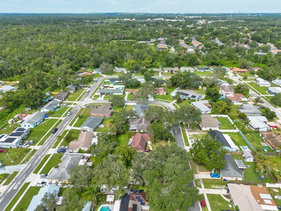 1013 HALLWOOD LOOP, BRANDON, FL, 33511