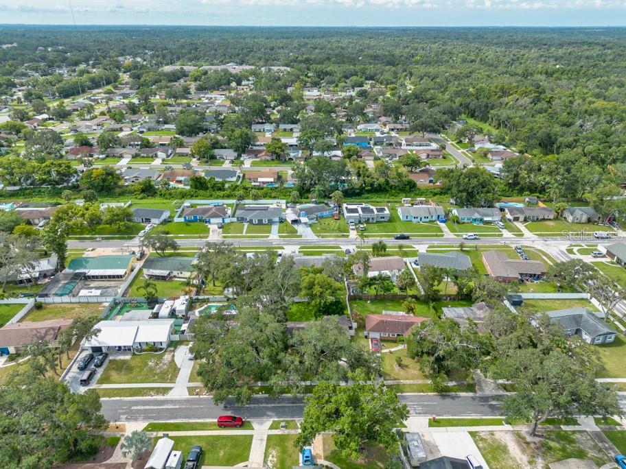 1013 HALLWOOD LOOP, BRANDON, FL, 33511