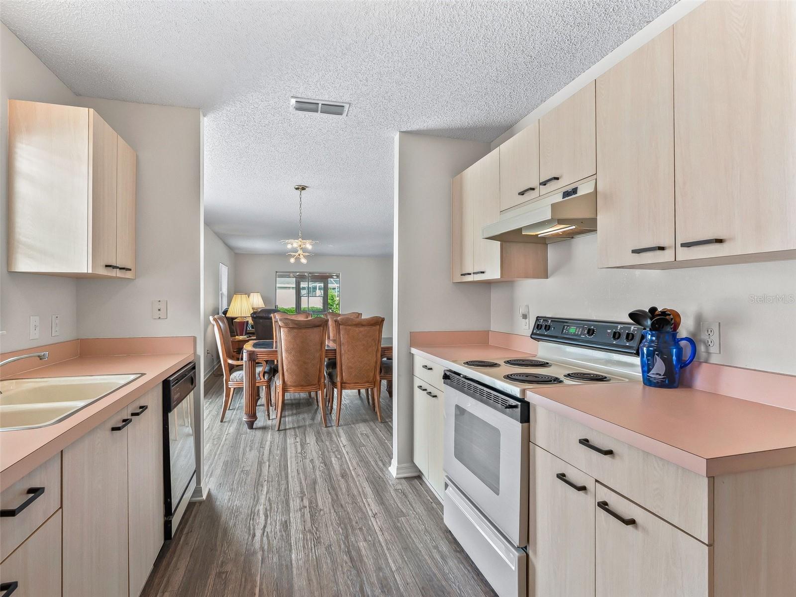 744 HERNANDEZ DR, THE VILLAGES, FL, 32159