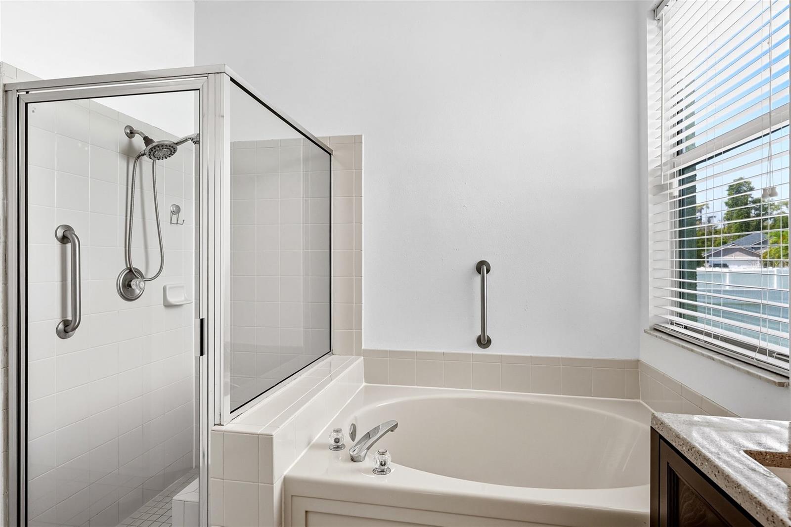 10443 PEPPERGRASS CT, TRINITY, FL, 34655