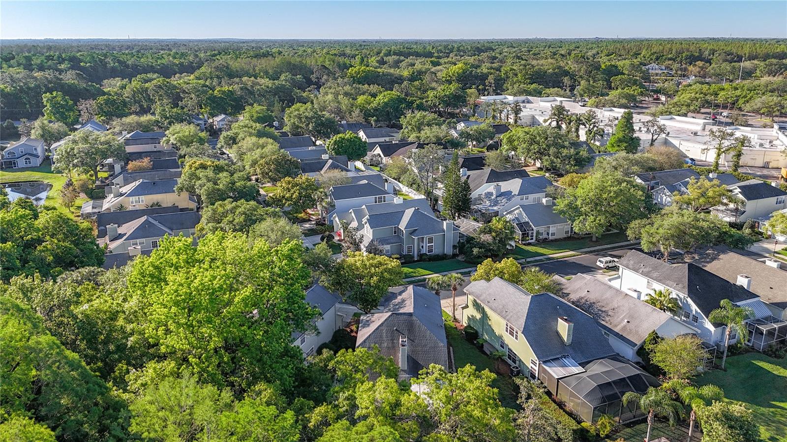 16010 WESTERHAM DR, TAMPA, FL, 33647