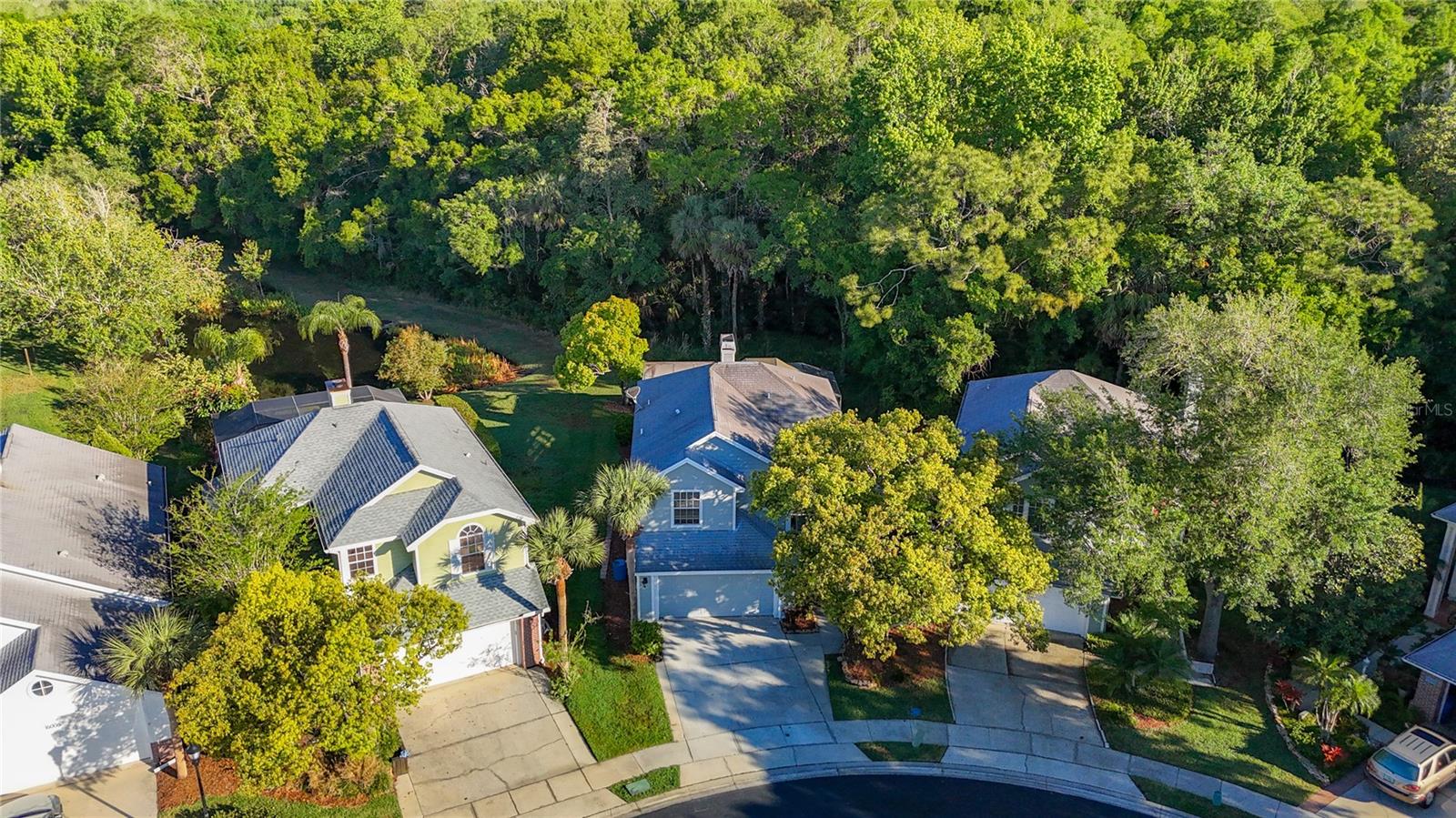 16010 WESTERHAM DR, TAMPA, FL, 33647