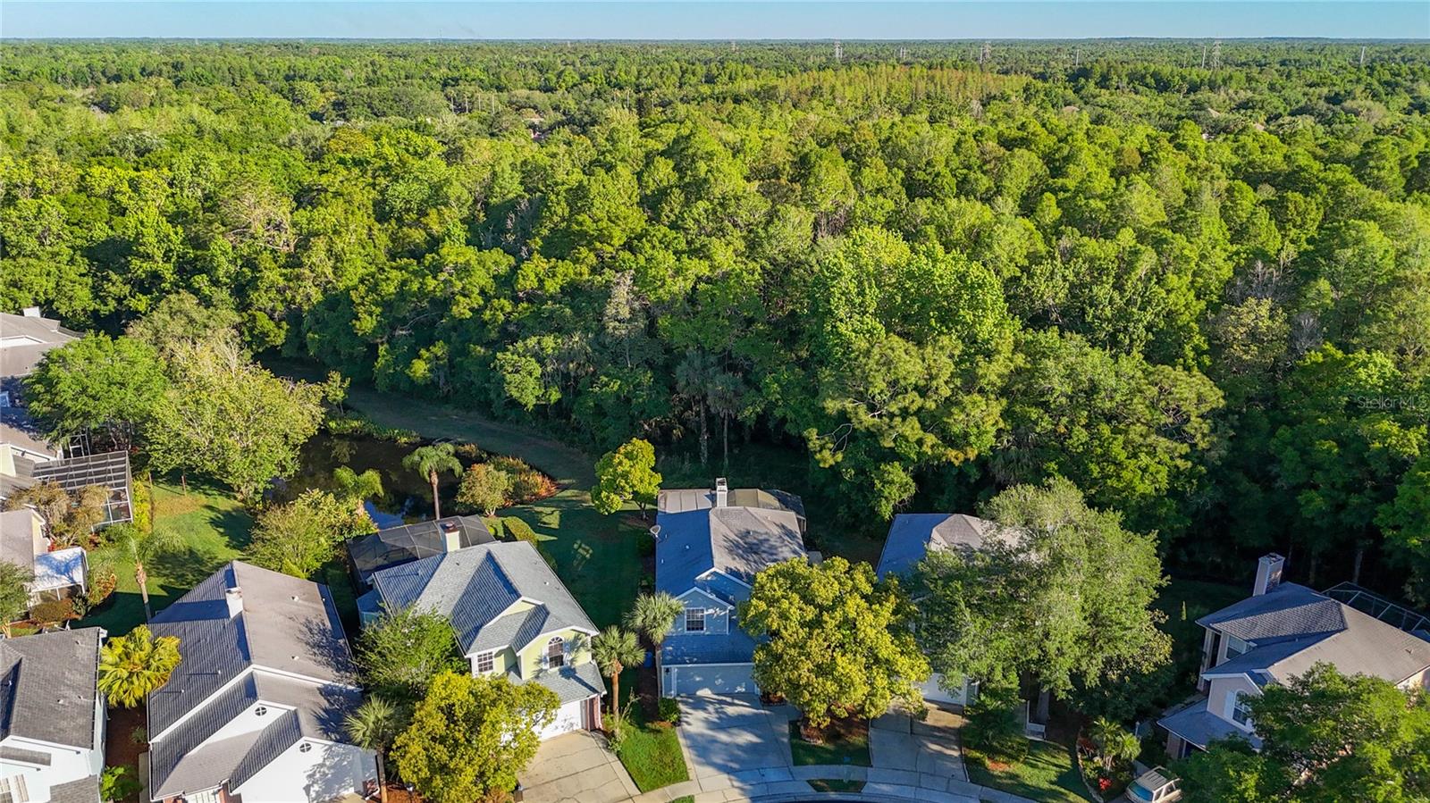 16010 WESTERHAM DR, TAMPA, FL, 33647