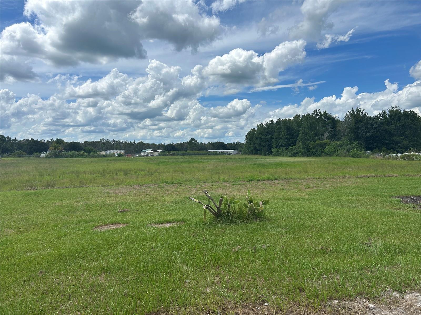 3020 APPALACHIAN TRL, POLK CITY, FL, 33868