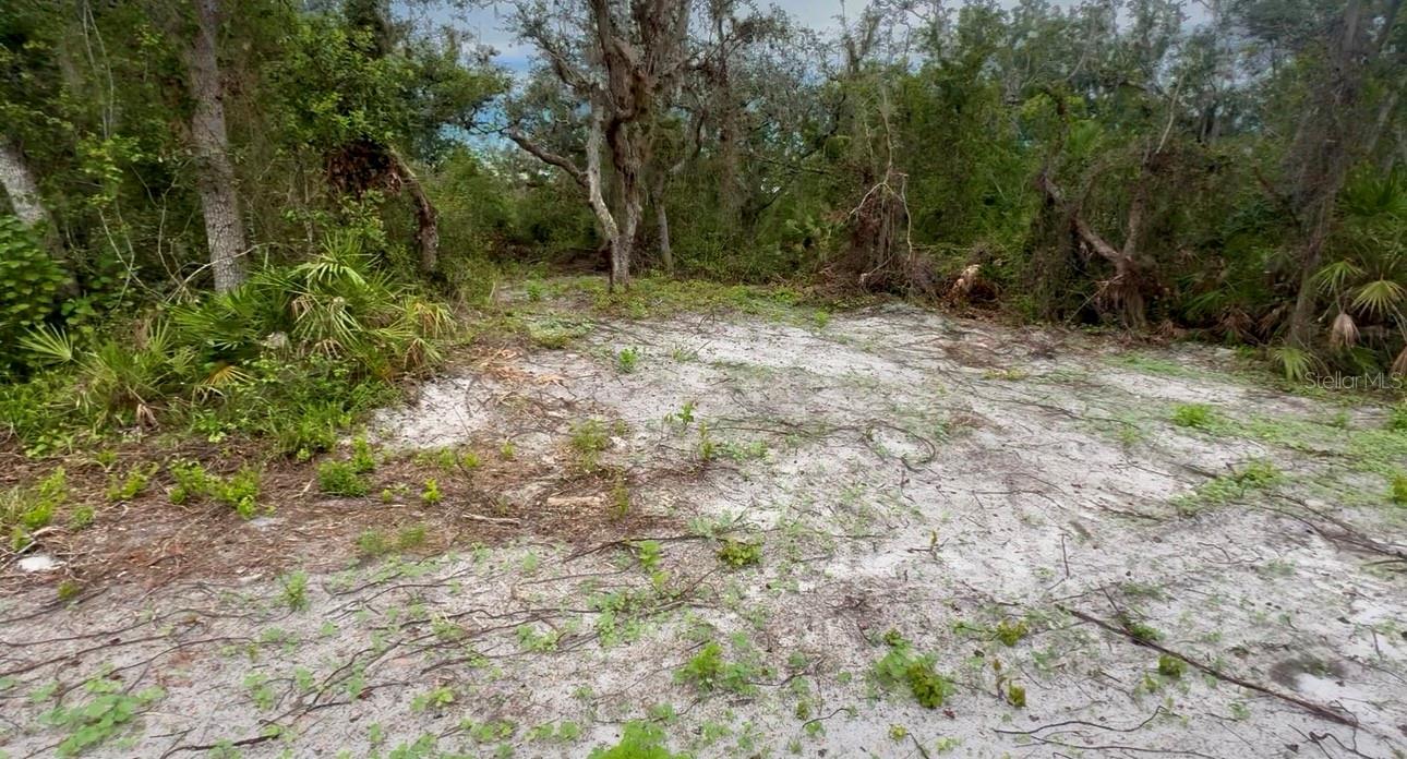 11679 SW THORNTON AVE, ARCADIA, FL, 34269