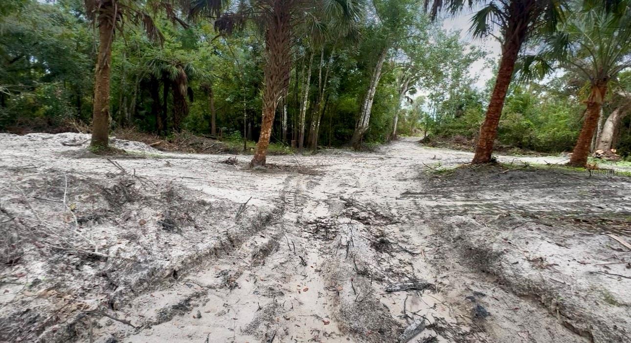 11679 SW THORNTON AVE, ARCADIA, FL, 34269