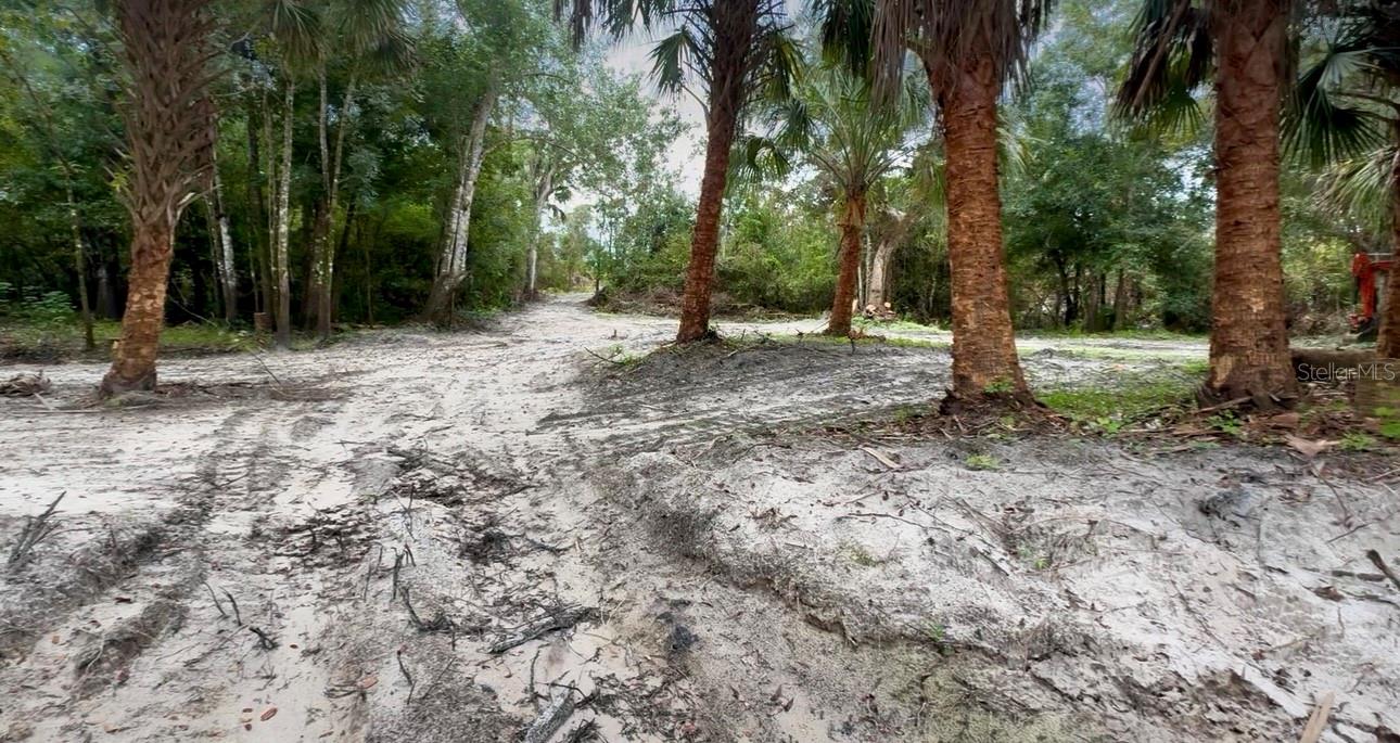 11679 SW THORNTON AVE, ARCADIA, FL, 34269