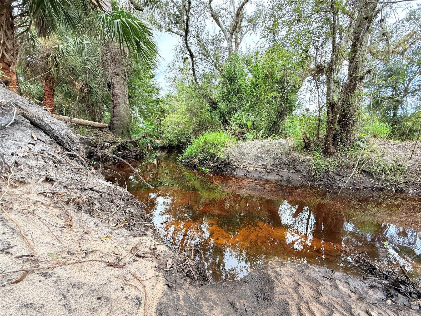 11679 SW THORNTON AVE, ARCADIA, FL, 34269