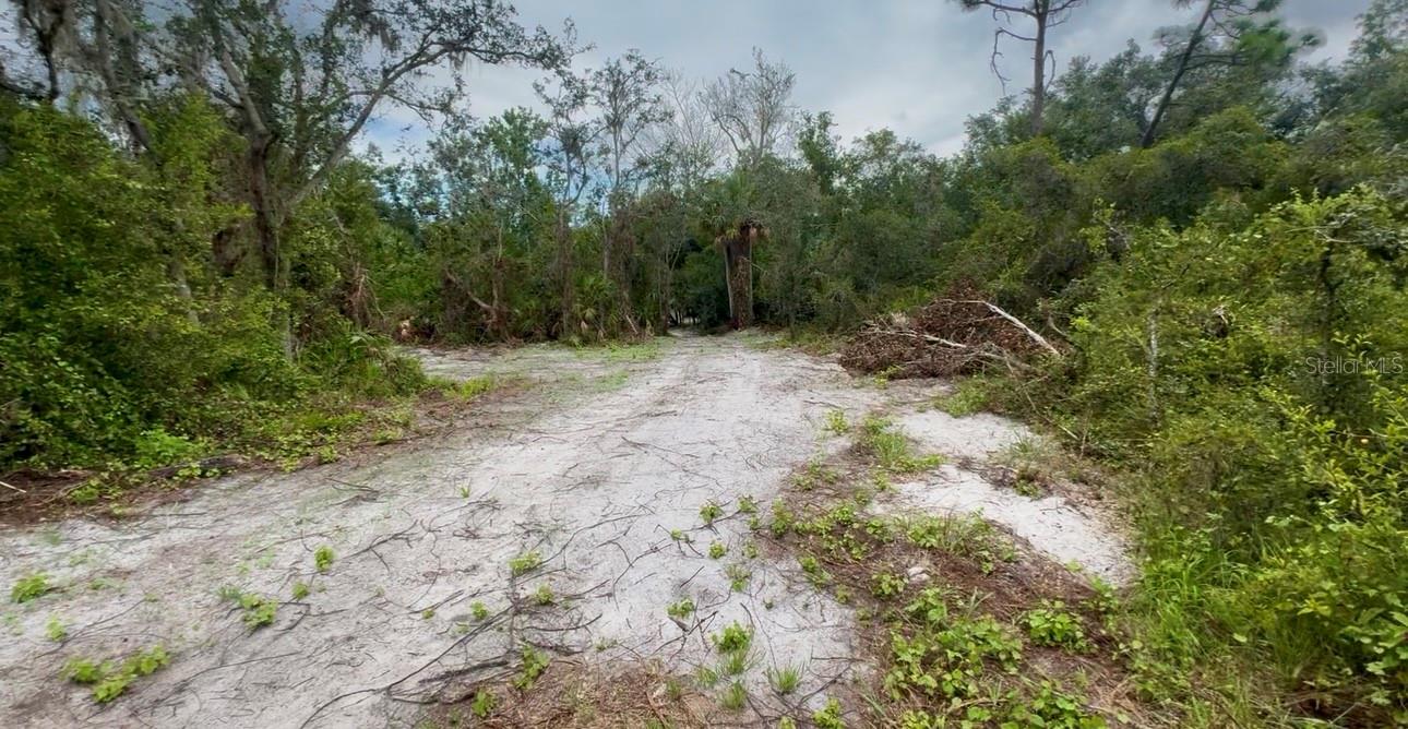 11679 SW THORNTON AVE, ARCADIA, FL, 34269