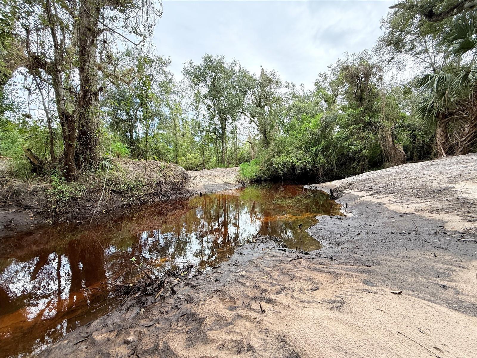 11679 SW THORNTON AVE, ARCADIA, FL, 34269