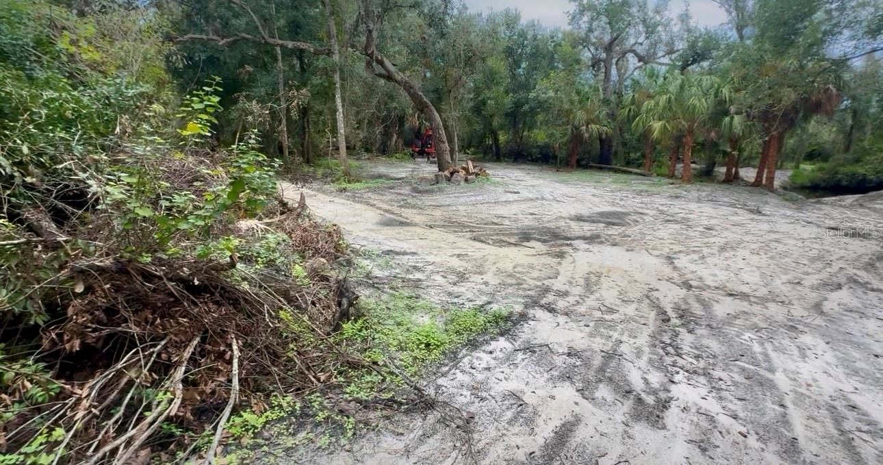 11679 SW THORNTON AVE, ARCADIA, FL, 34269