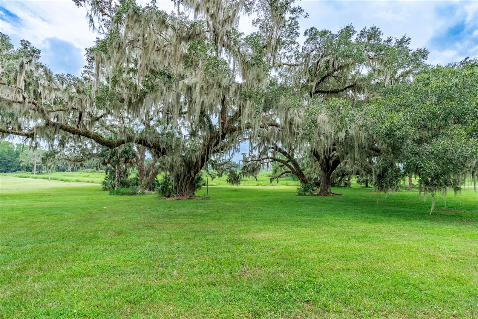 3897 SW 69TH AVE, GAINESVILLE, FL, 32608