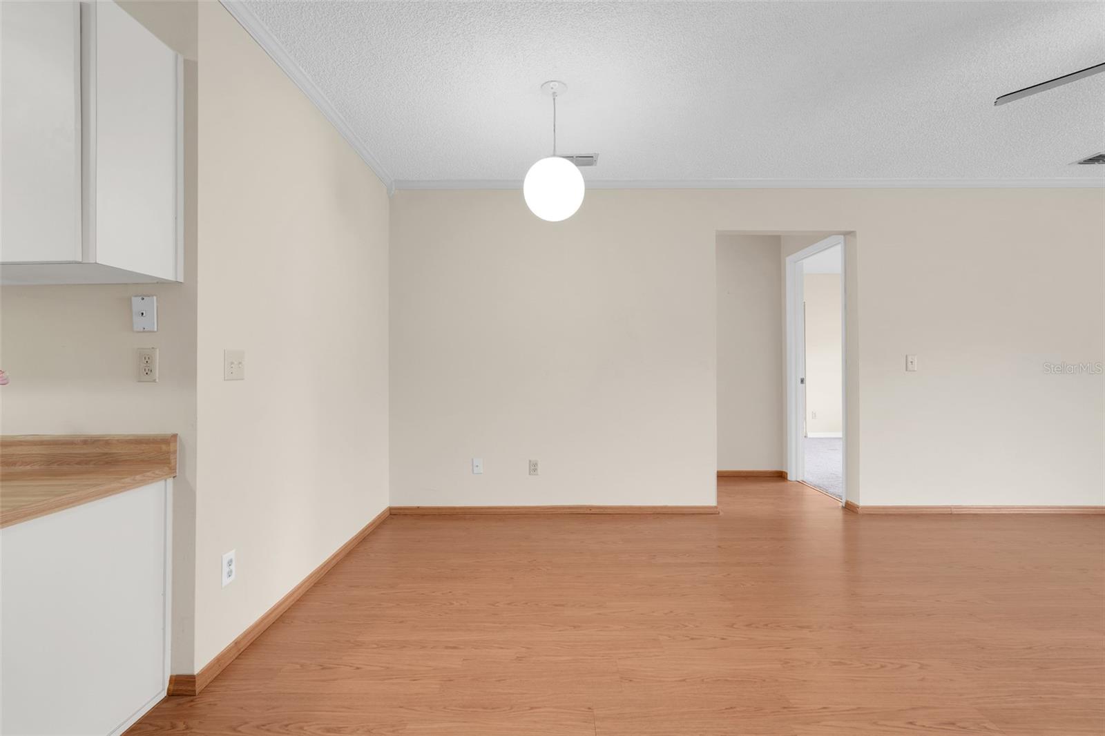 30116 TAVARES RIDGE BLVD #91, TAVARES, FL, 32778