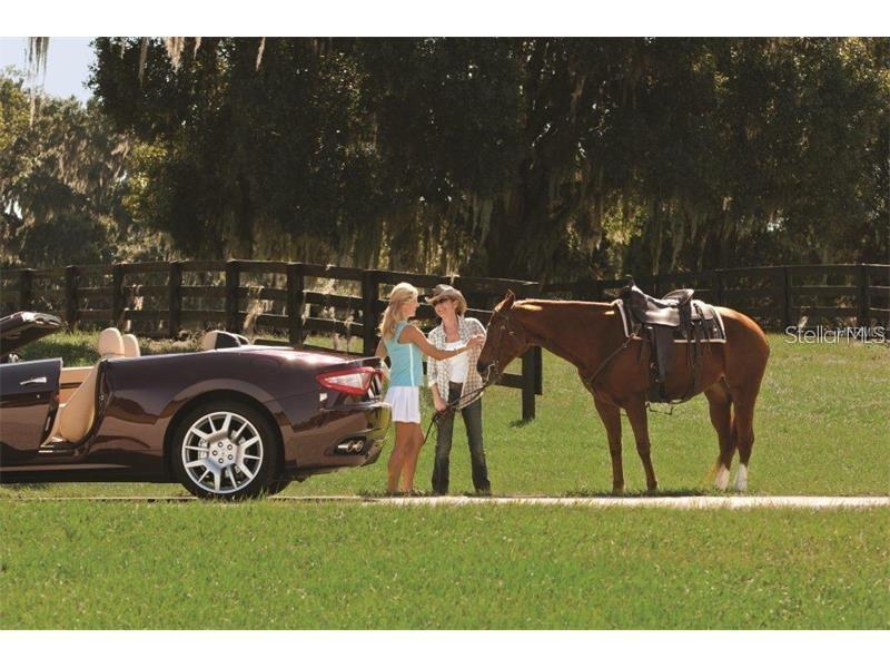 TB8425912 Property Photo