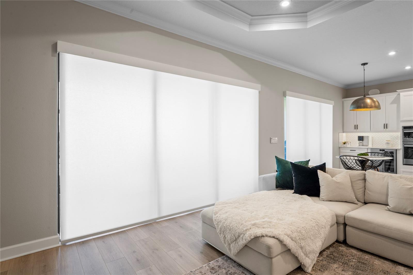 11223 EGERIA DR, ODESSA, FL, 33556