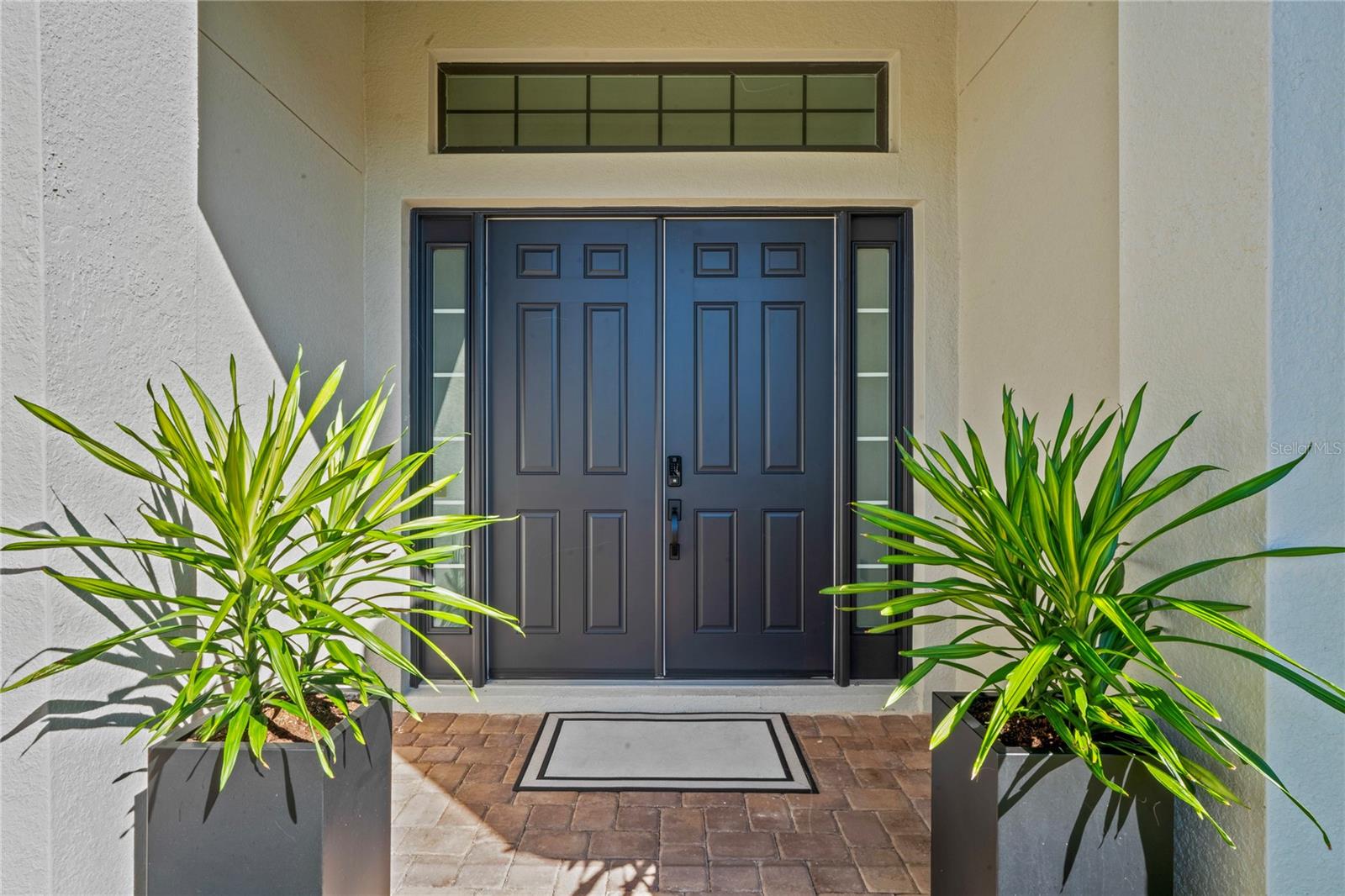 11223 EGERIA DR, ODESSA, FL, 33556