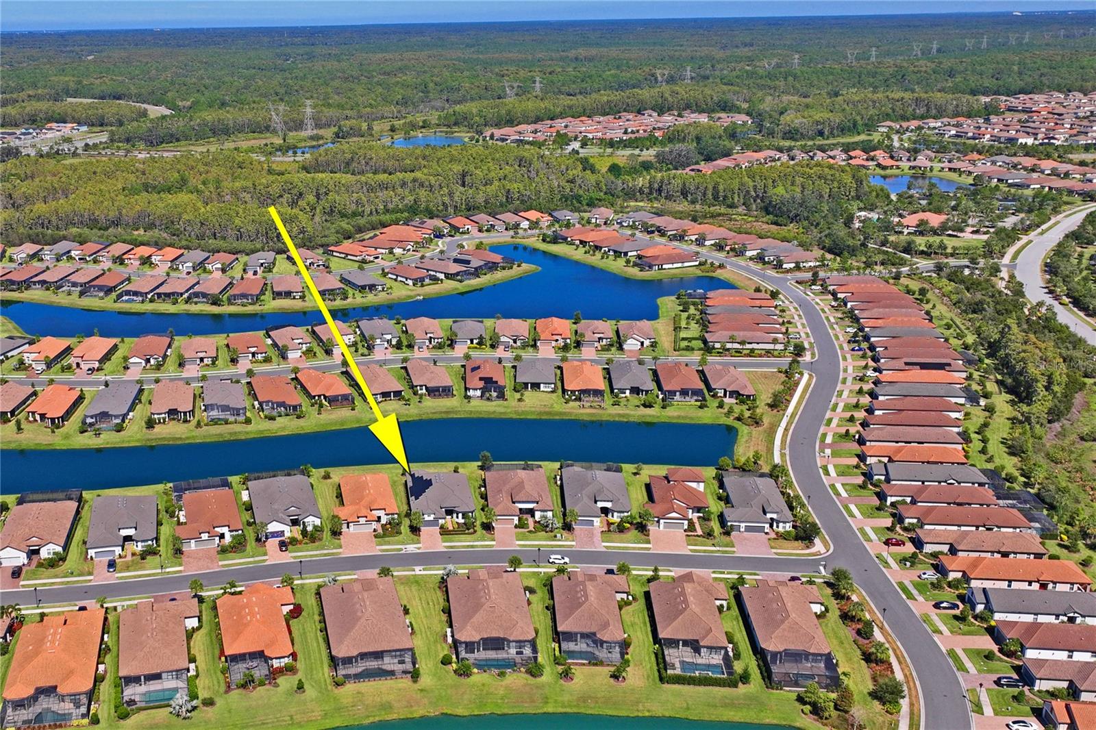 11223 EGERIA DR, ODESSA, FL, 33556