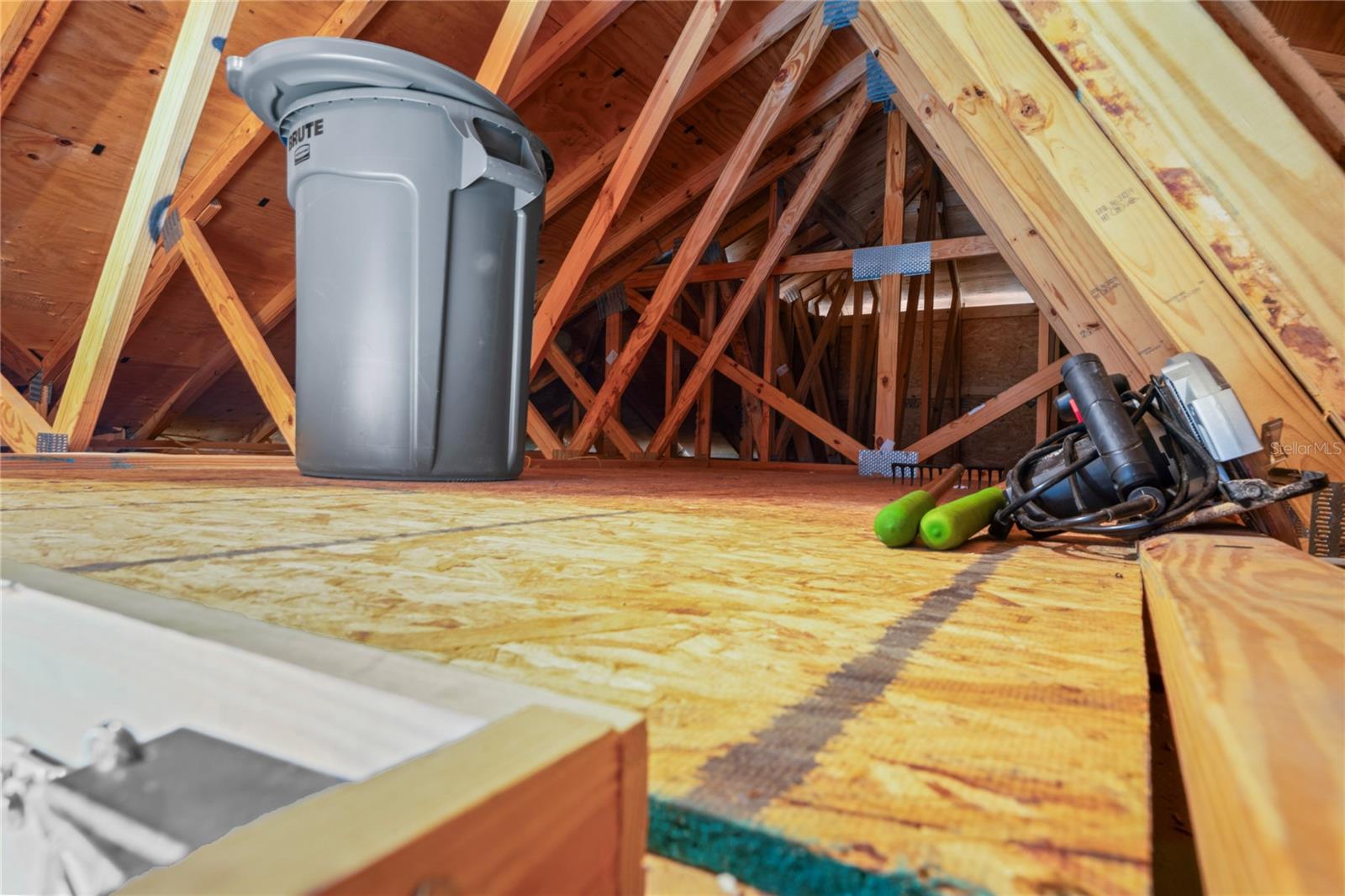 11223 EGERIA DR, ODESSA, FL, 33556