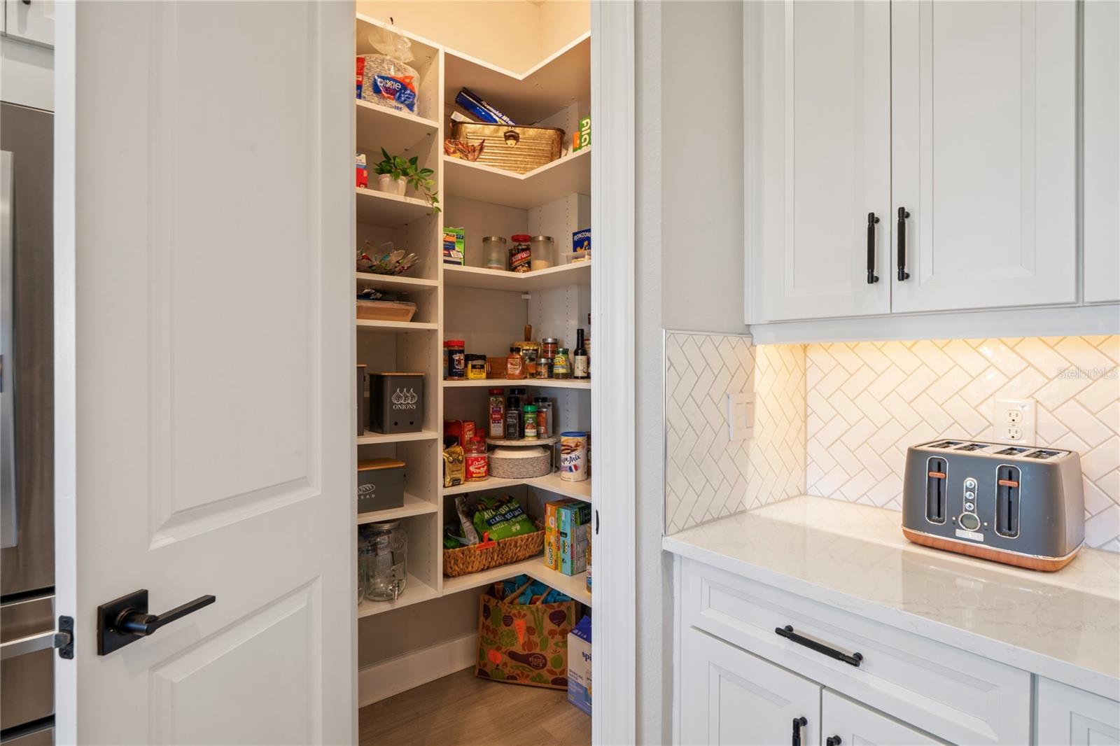 11223 EGERIA DR, ODESSA, FL, 33556