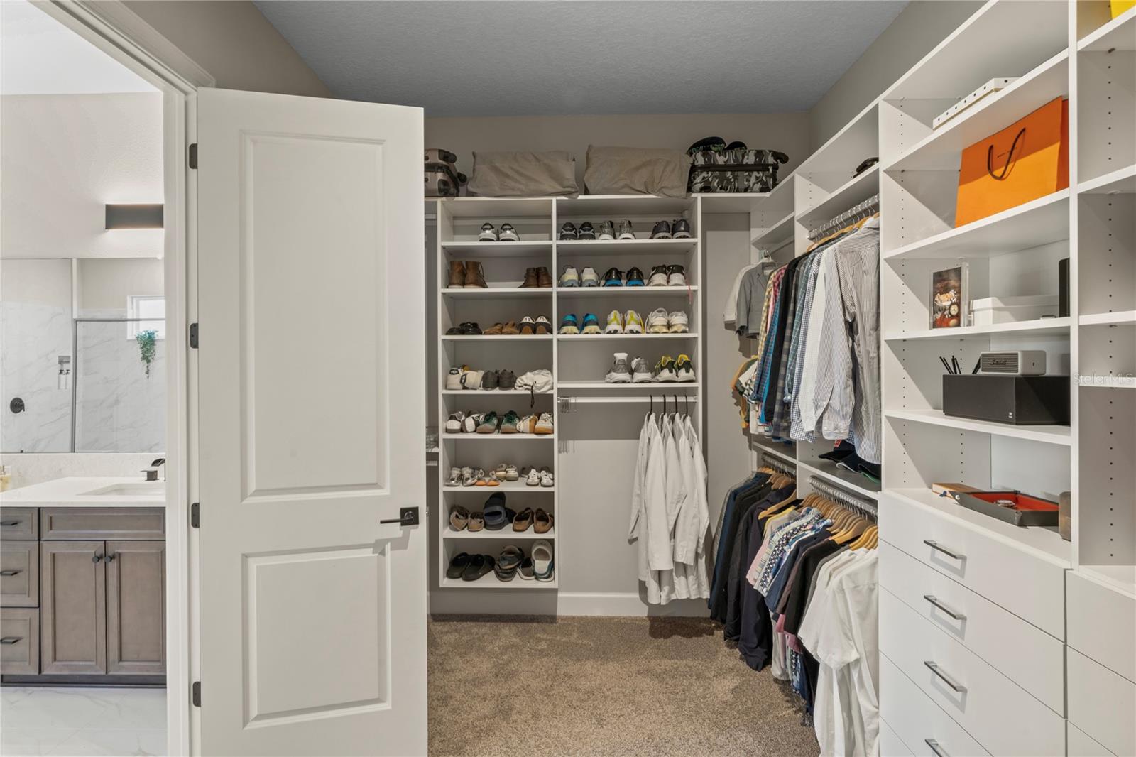 11223 EGERIA DR, ODESSA, FL, 33556