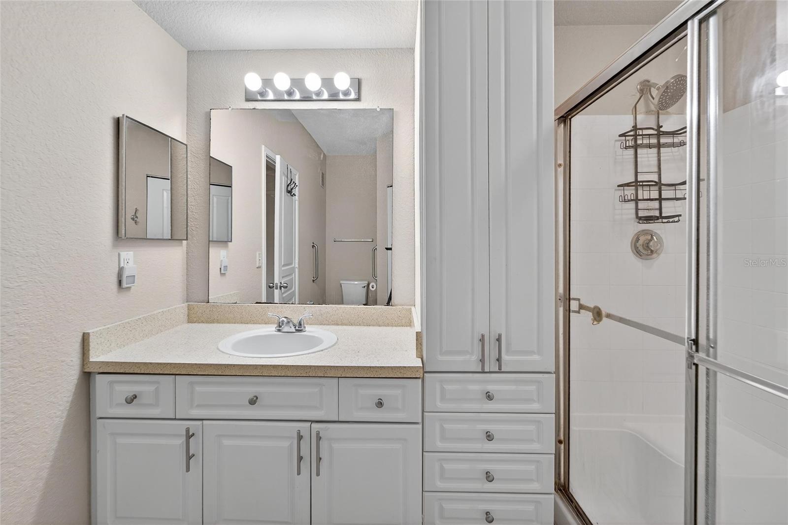 5125 PALM SPRINGS BLVD #3106, TAMPA, FL, 33647