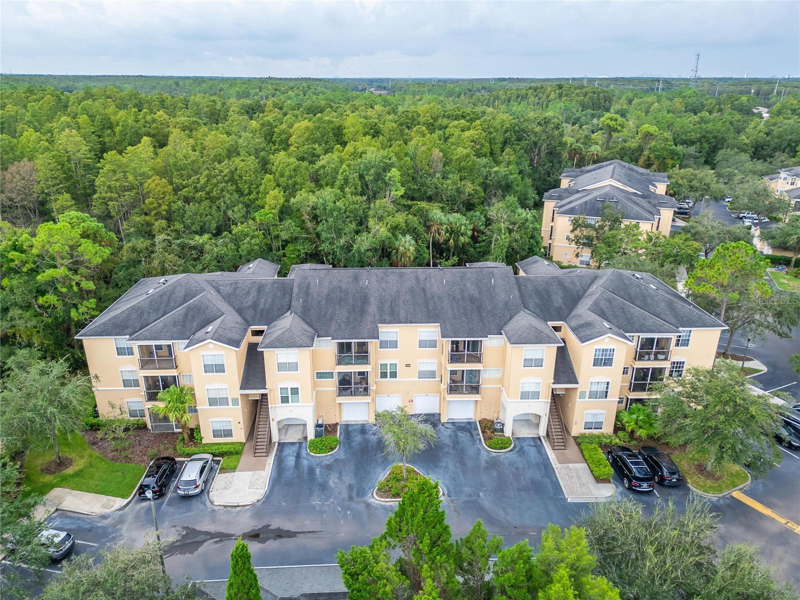 5125 PALM SPRINGS BLVD #3106, TAMPA, FL, 33647