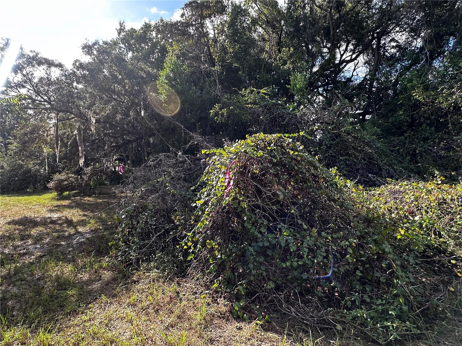 722 HIGHWAY 40 W, INGLIS, FL, 34449