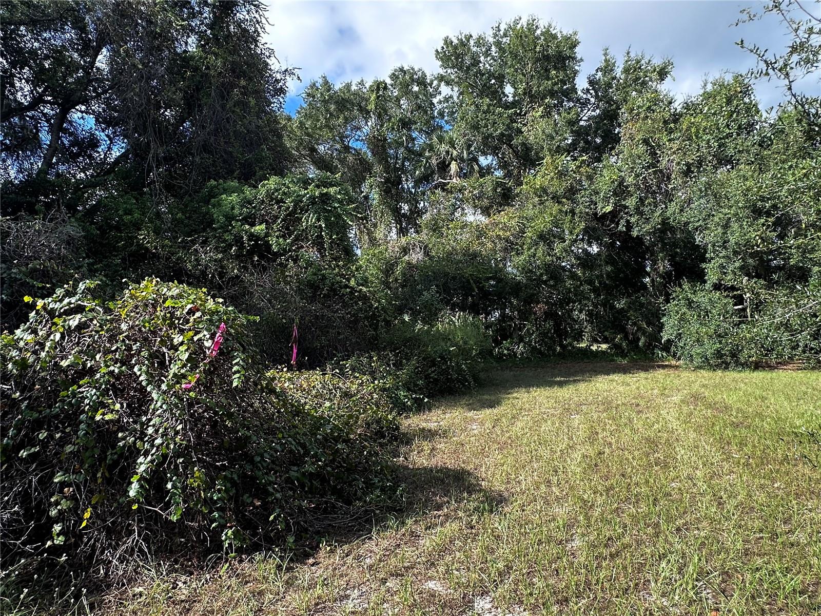 722 HIGHWAY 40 W, INGLIS, FL, 34449