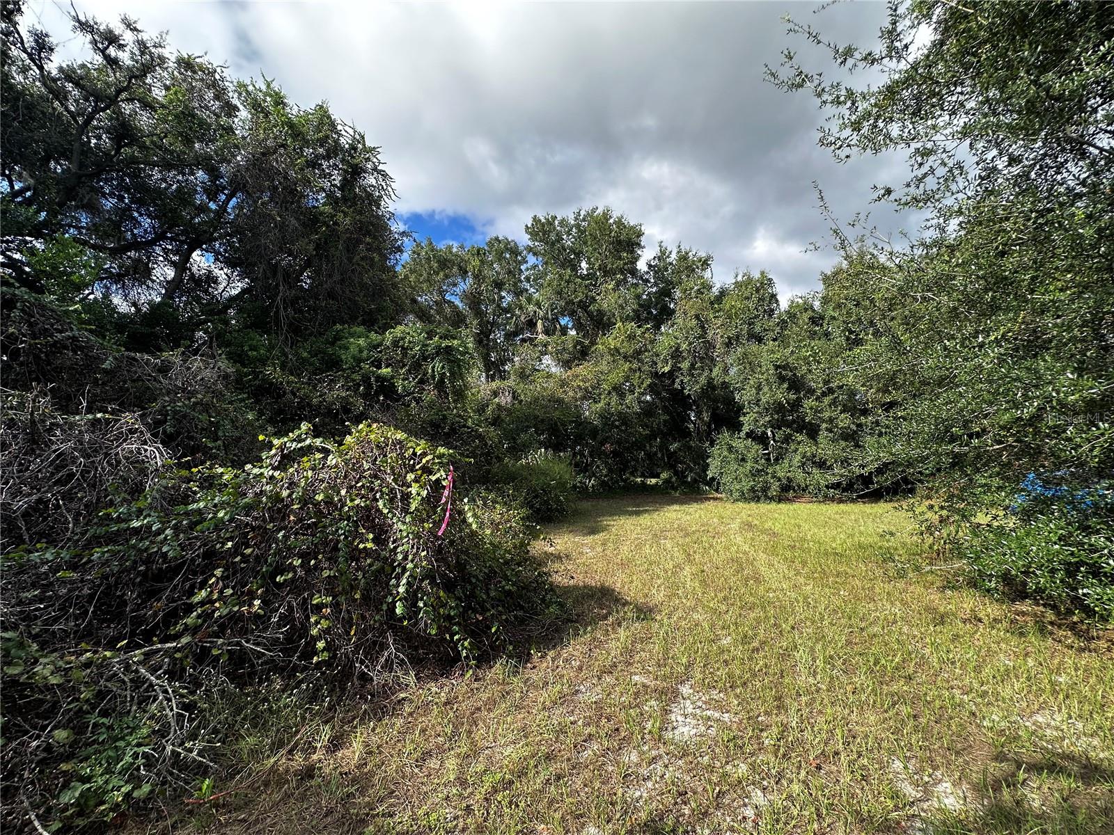 722 HIGHWAY 40 W, INGLIS, FL, 34449