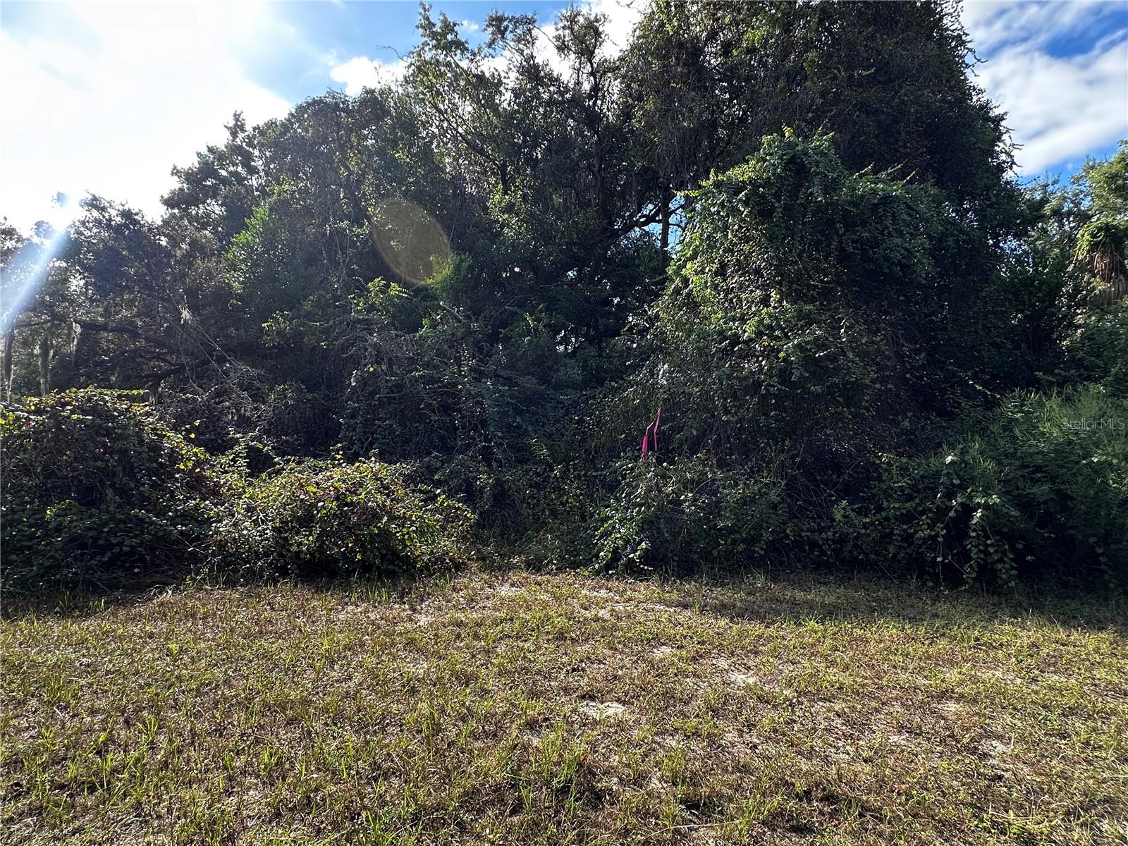 722 HIGHWAY 40 W, INGLIS, FL, 34449