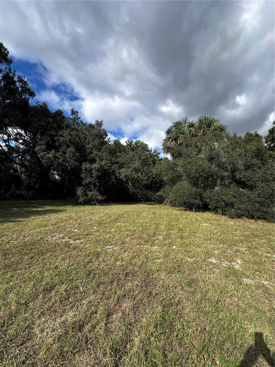 722 HIGHWAY 40 W, INGLIS, FL, 34449