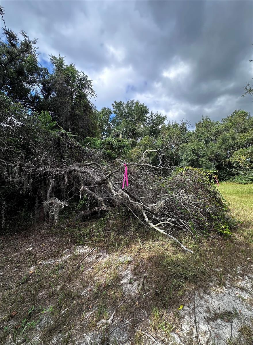 722 HIGHWAY 40 W, INGLIS, FL, 34449