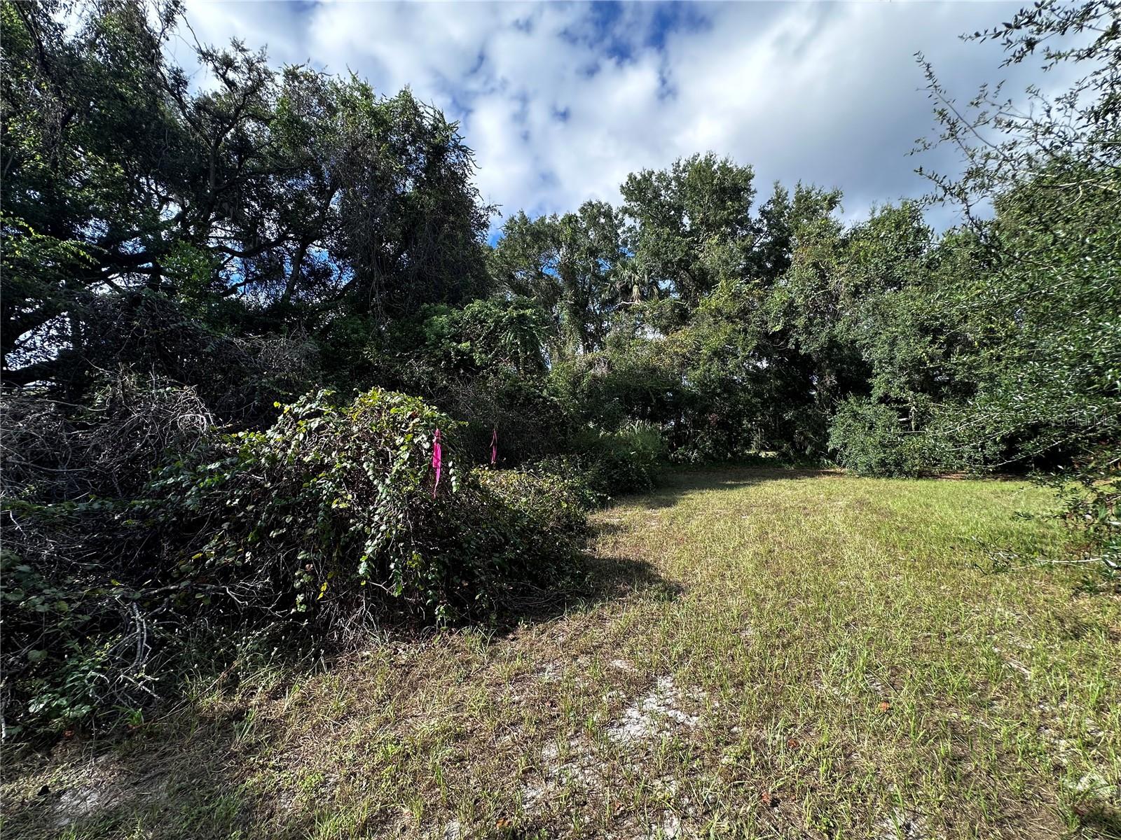 722 HIGHWAY 40 W, INGLIS, FL, 34449