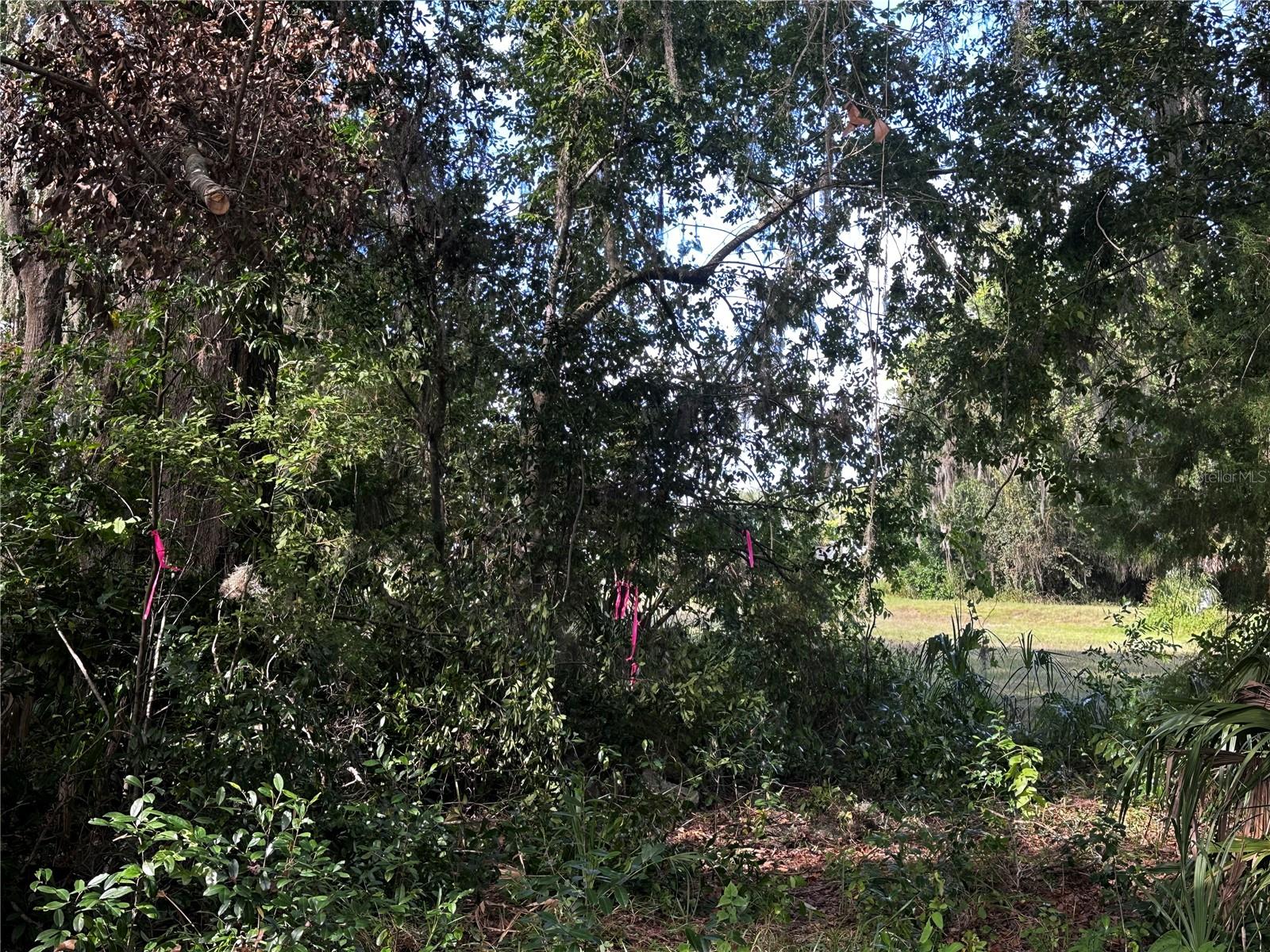 722 HIGHWAY 40 W, INGLIS, FL, 34449