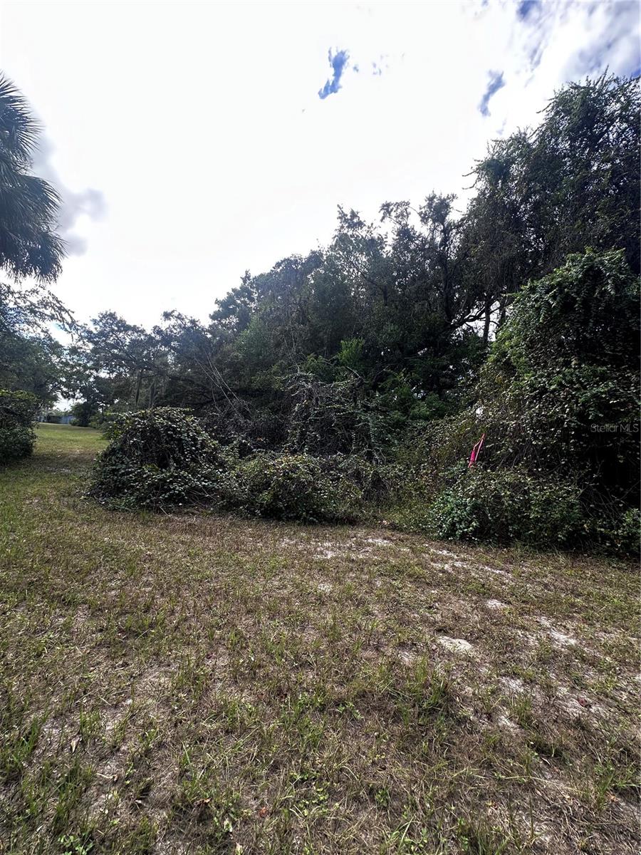 722 HIGHWAY 40 W, INGLIS, FL, 34449