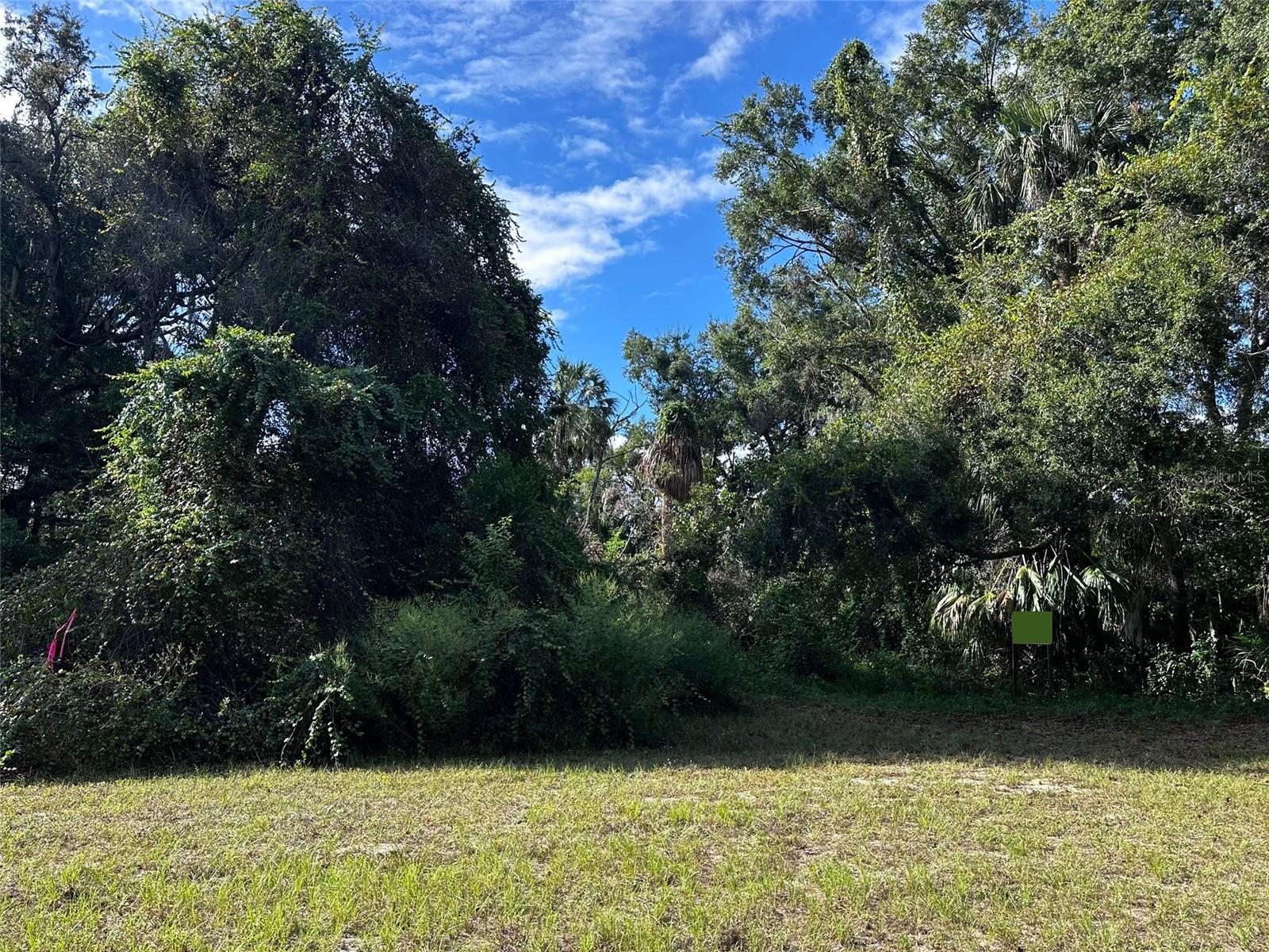 722 HIGHWAY 40 W, INGLIS, FL, 34449