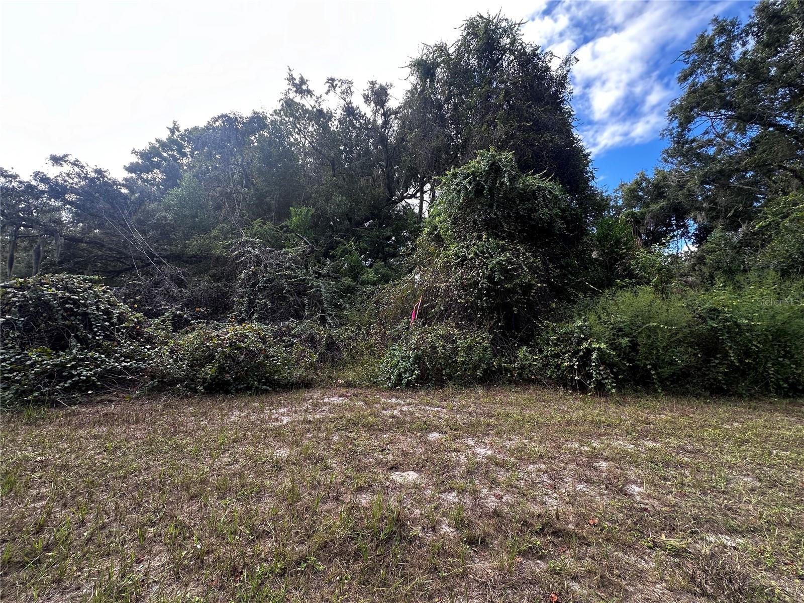 722 HIGHWAY 40 W, INGLIS, FL, 34449