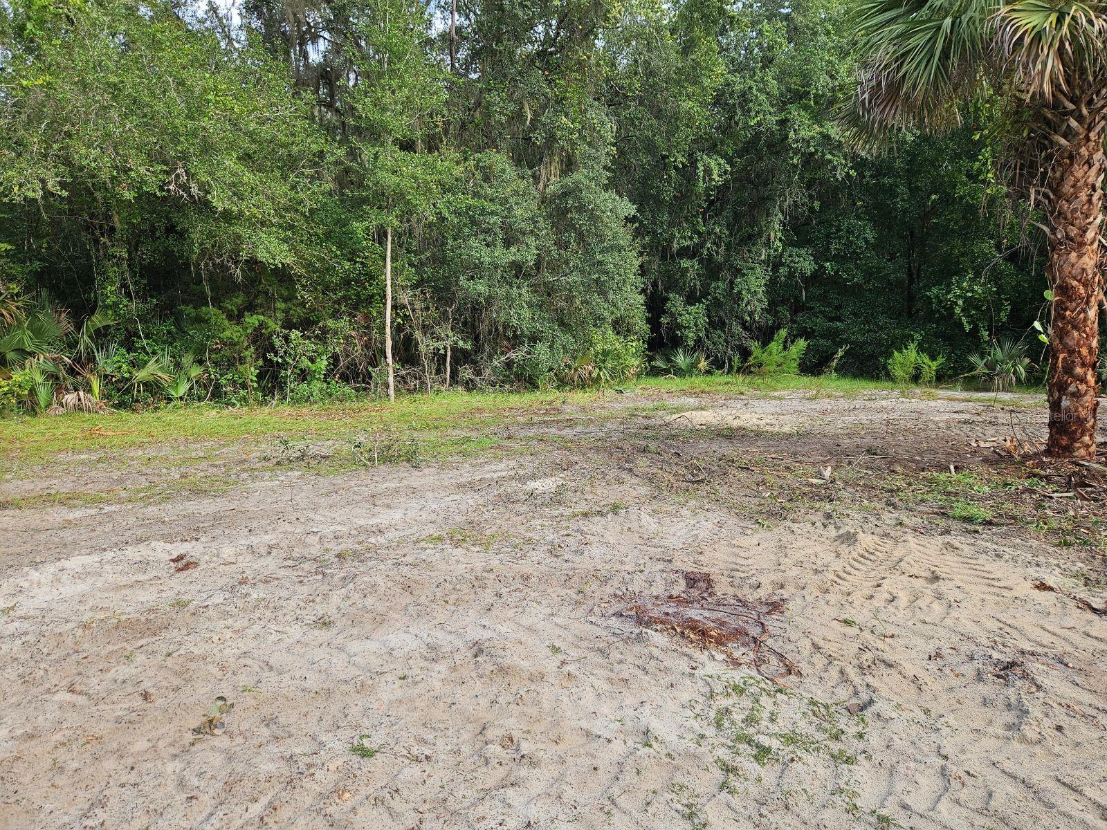 1460 WASHINGTON ST, BUNNELL, FL, 32110