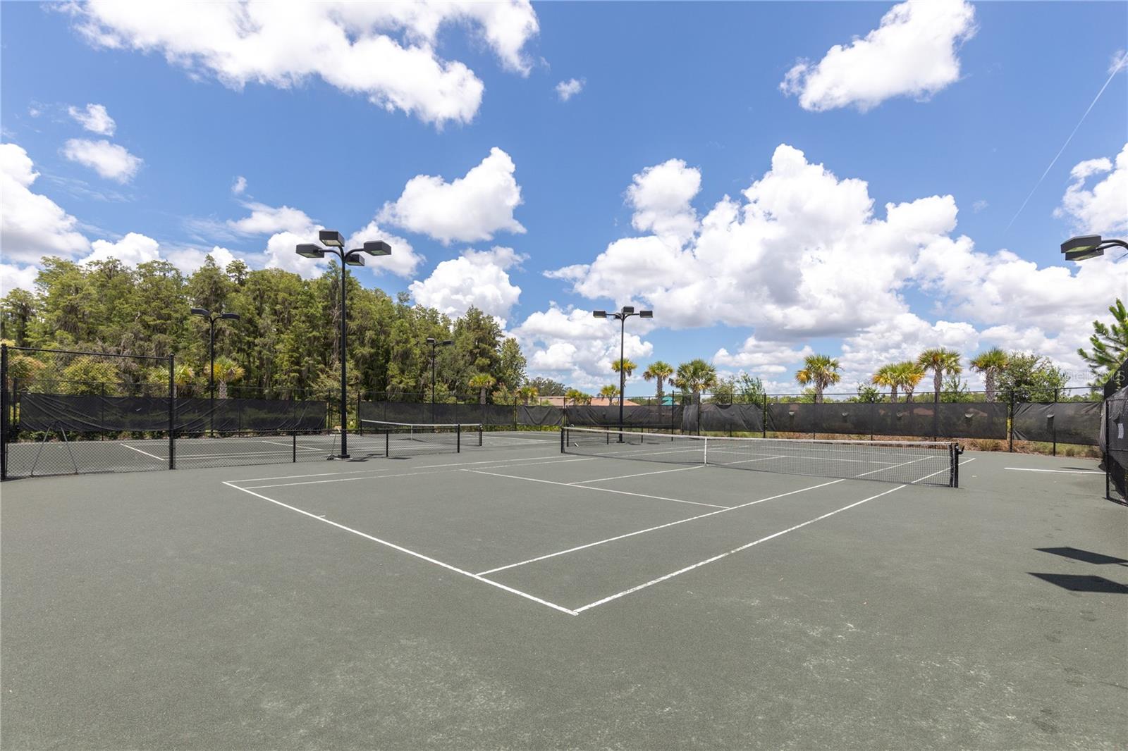 11319 JUGLANS DR, ODESSA, FL, 33556