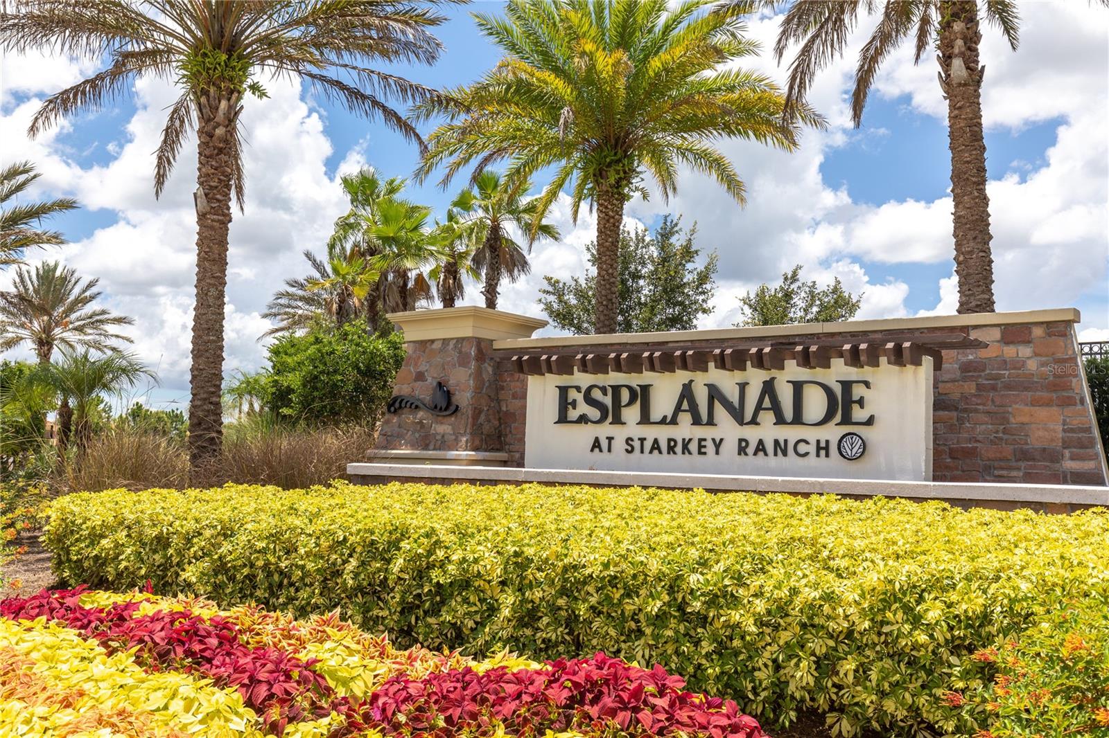 11319 JUGLANS DR, ODESSA, FL, 33556