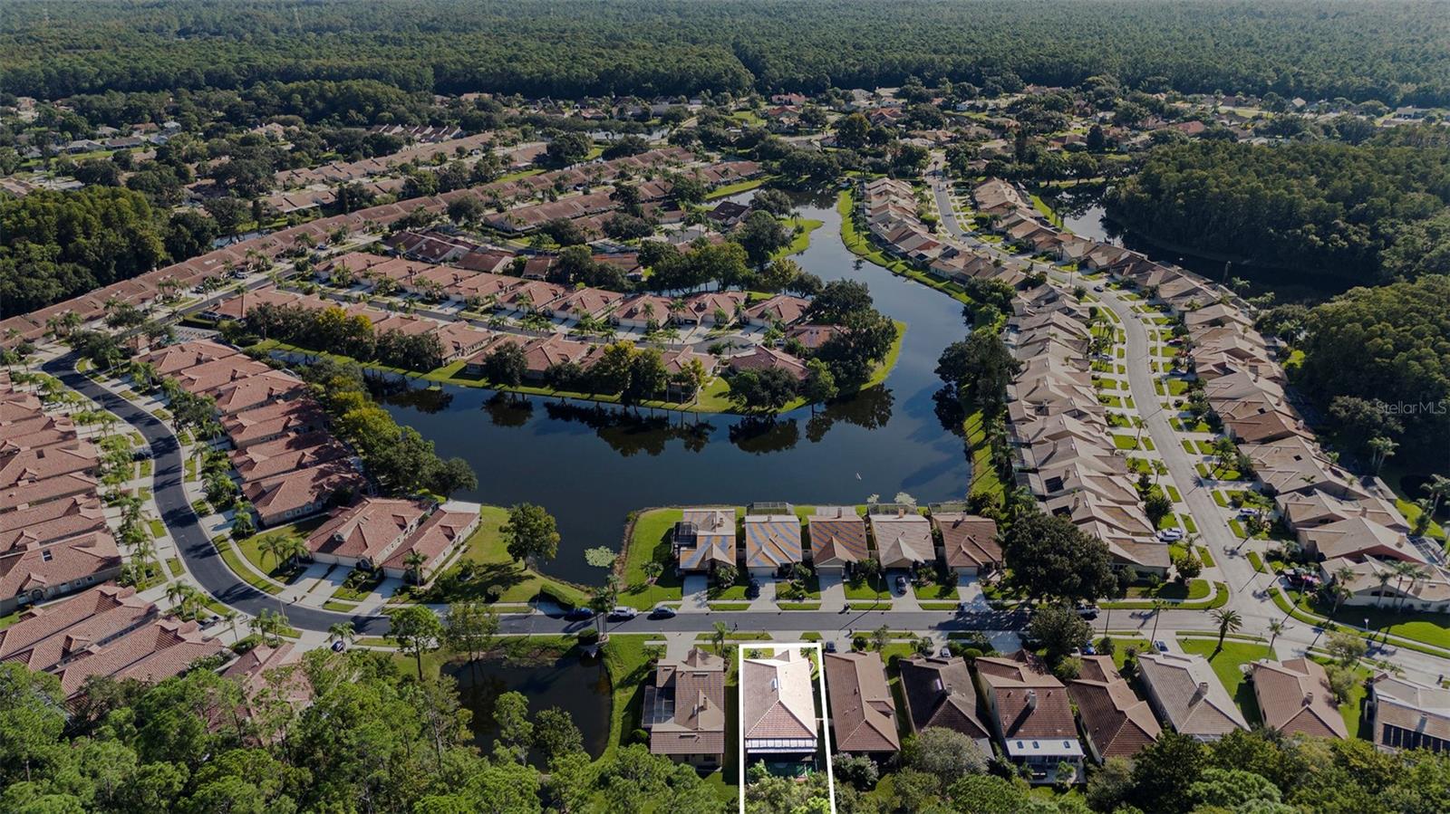 3724 DARSTON ST, PALM HARBOR, FL, 34685