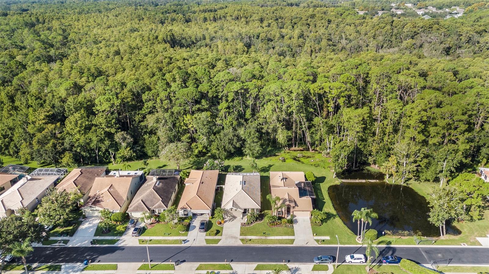 3724 DARSTON ST, PALM HARBOR, FL, 34685