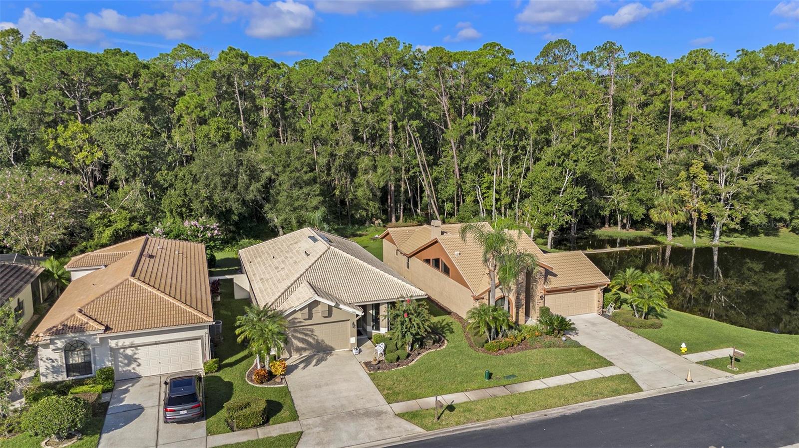 3724 DARSTON ST, PALM HARBOR, FL, 34685