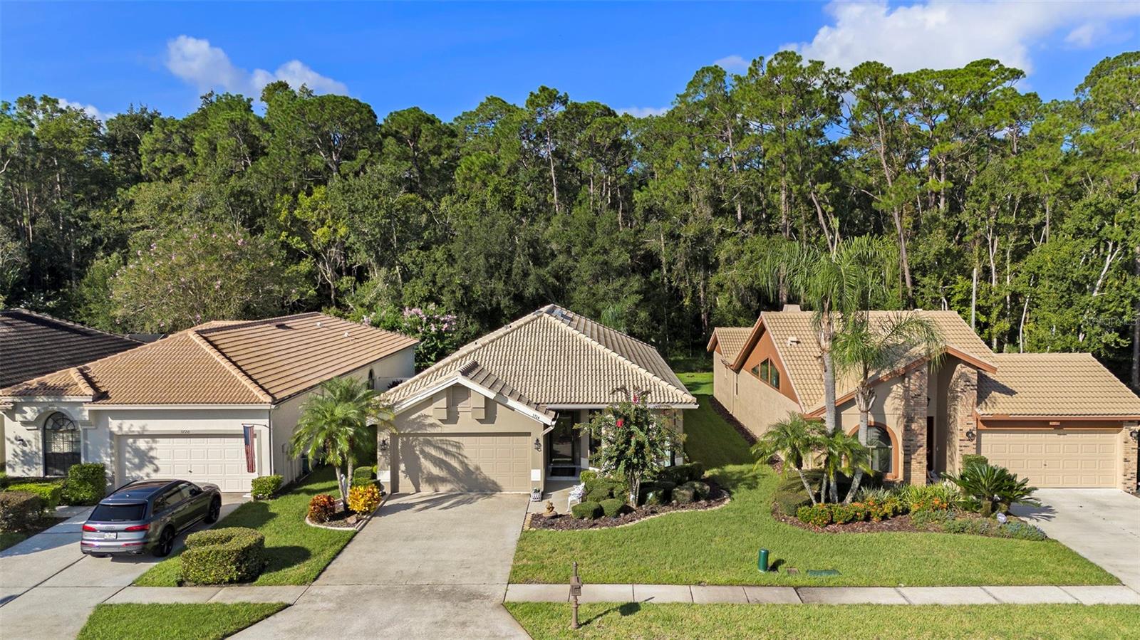 3724 DARSTON ST, PALM HARBOR, FL, 34685