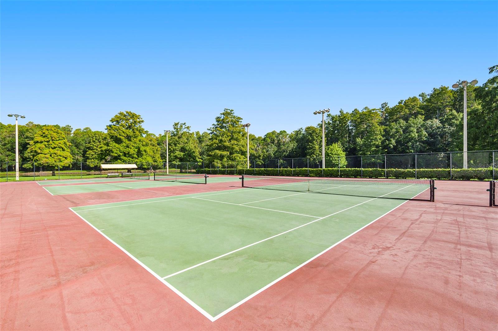 3724 DARSTON ST, PALM HARBOR, FL, 34685