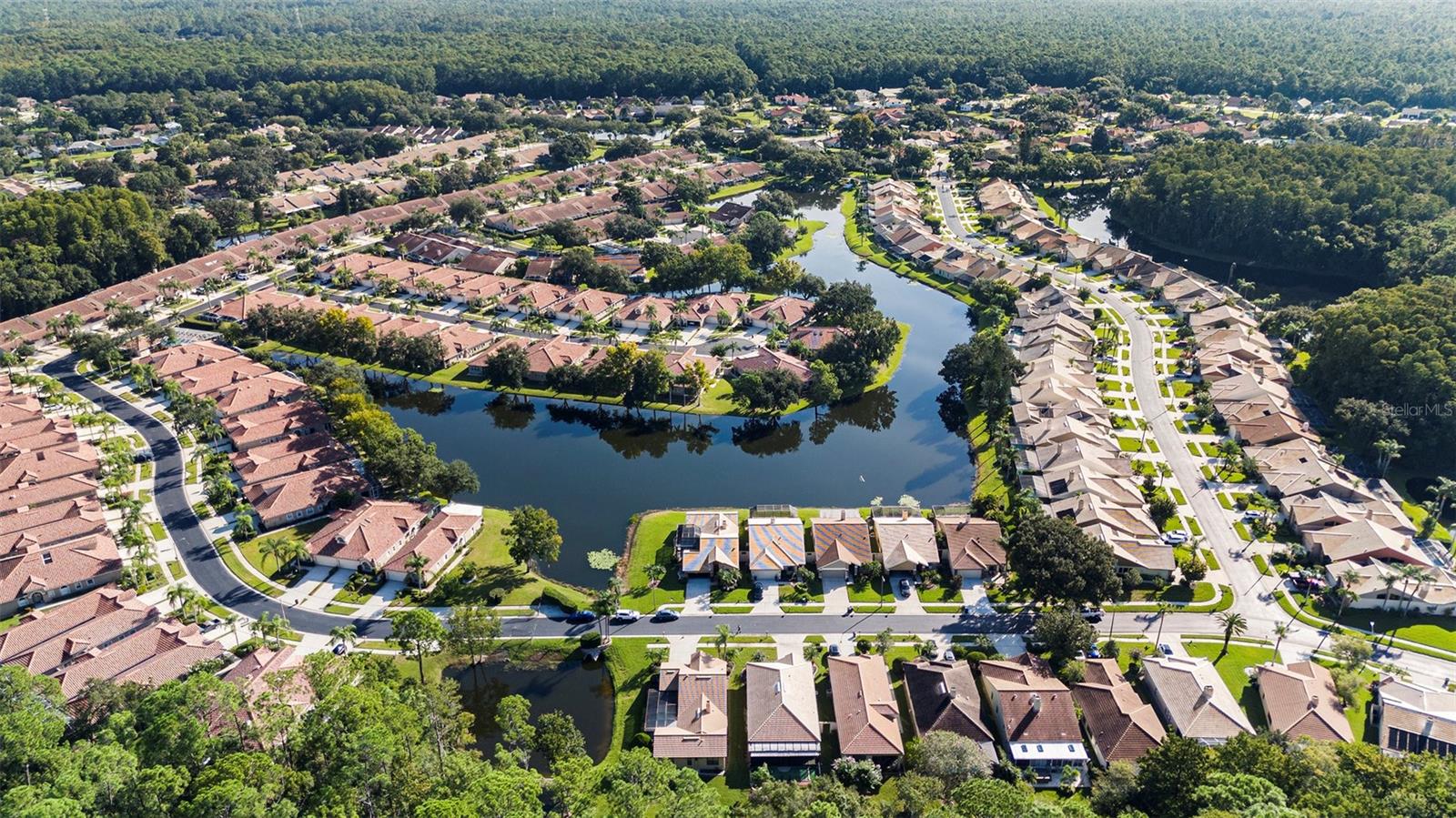 3724 DARSTON ST, PALM HARBOR, FL, 34685