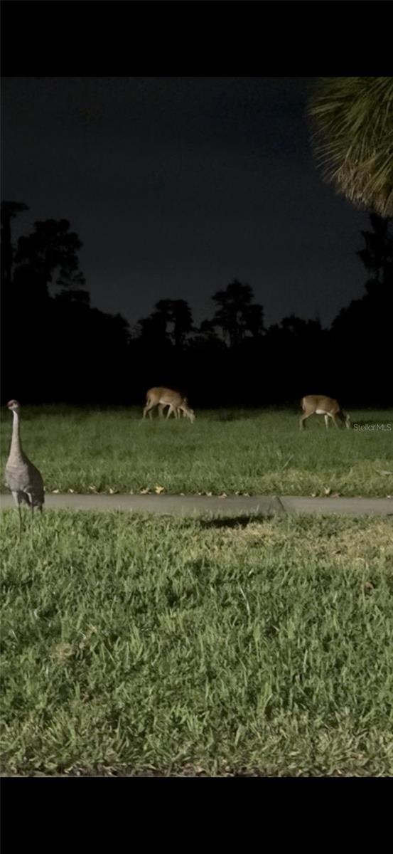 253 SAND PIPER DR, KISSIMMEE, FL, 34759