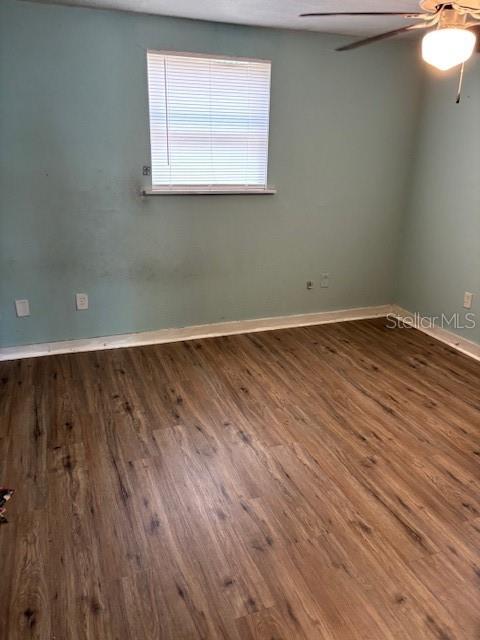 3812 E LAKESHORE DR, TAMPA, FL, 33604